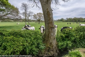 aireborough_voice_21