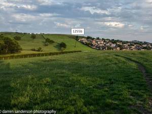 Site allocation 1255b Banksfield Coppice Wood from Carlton Lane slide