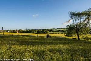 FB_IMG_1433736019199