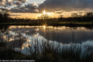Is the land wet or dry? 