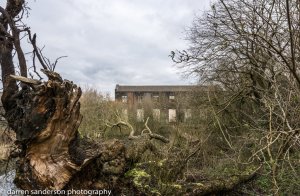 CbAdI7qXIAAfCnz.jpg large