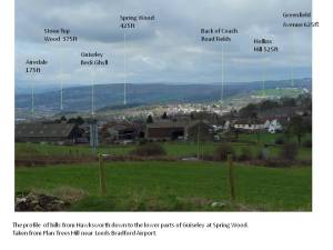 View from Plane Tree Hill