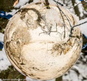 12548932_10207271126551915_5557061590247550465_n